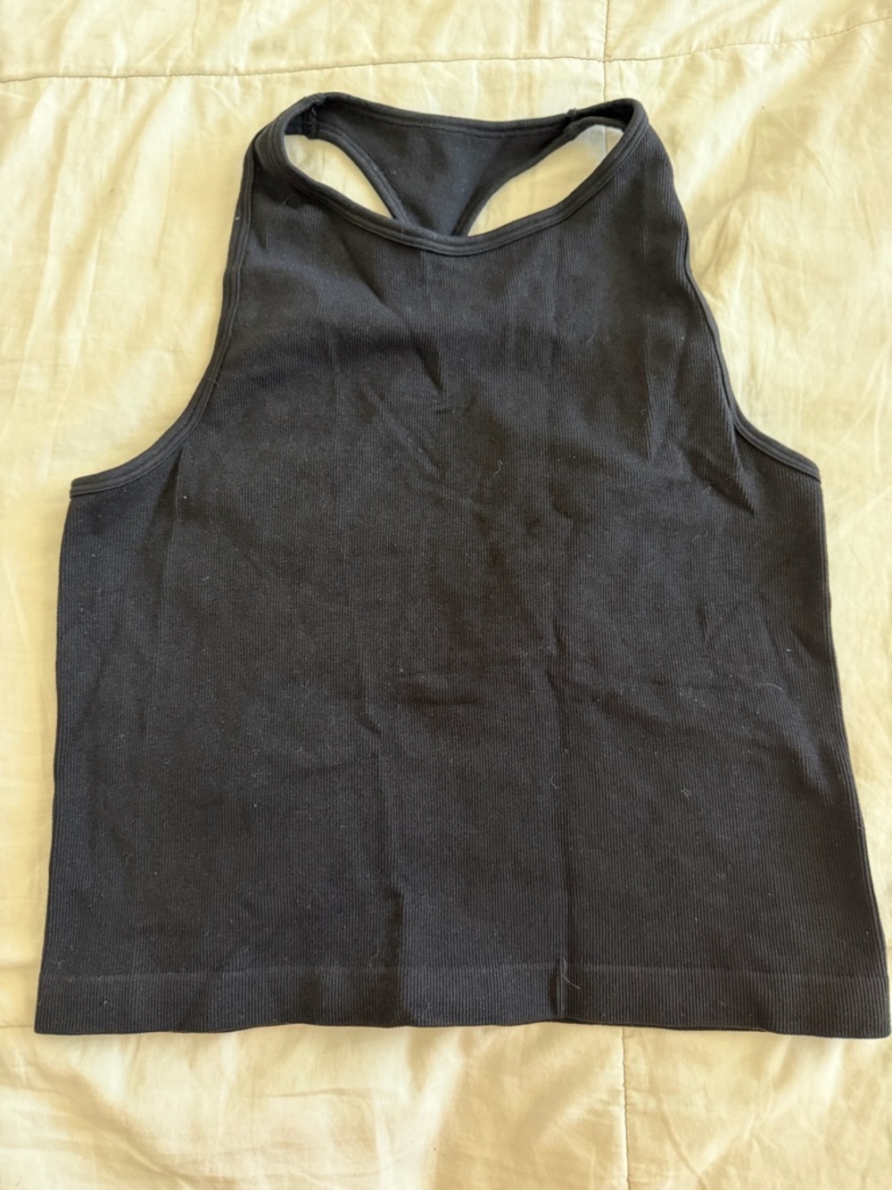 Intimately Free People High Neck Ribbed Crop